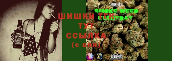 гидра Михайловка