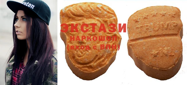гидра Михайловка