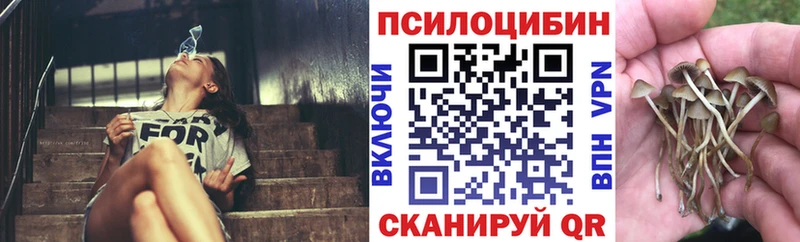 Псилоцибиновые грибы ЛСД  нарко площадка как зайти  Игра 